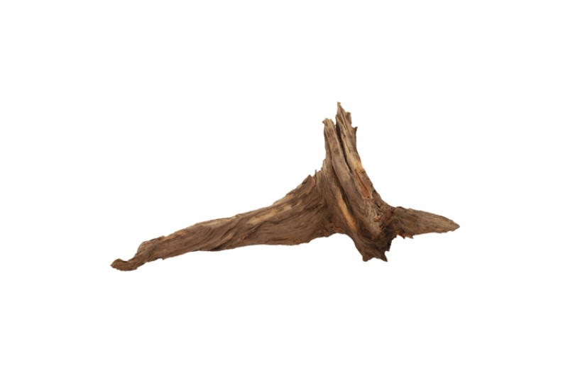 Hobby Pine Root L, ca. 50-60 cm