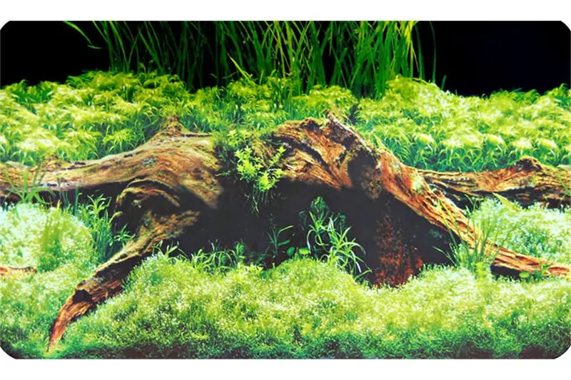 Hobby Fotorückwandzuschnitt Spring/Moss, 120 cm x 50 cm