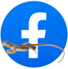 Facebook Terraristik