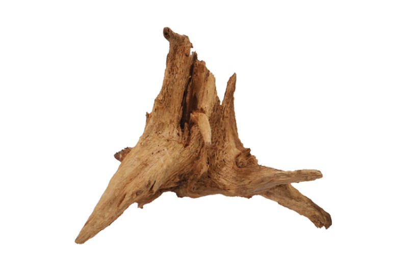 Hobby Pine Root L, ca. 50-60 cm