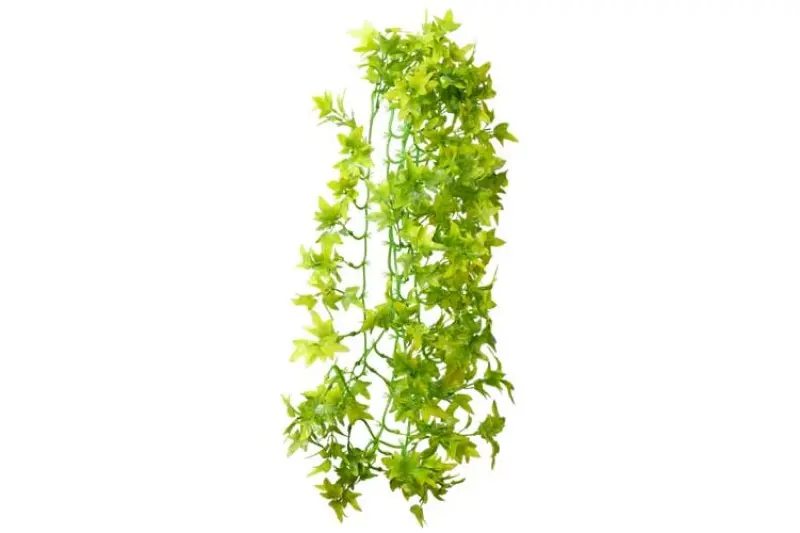 Hobby Climber Ivy, 70 cm