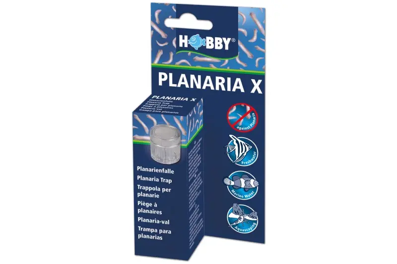 Hobby Planaria X, Planarienfalle