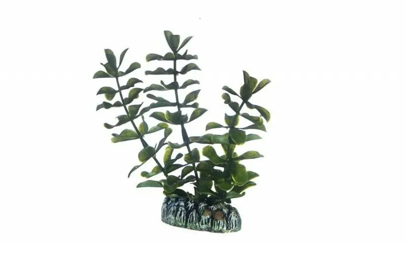 Hobby Bacopa, 13 cm